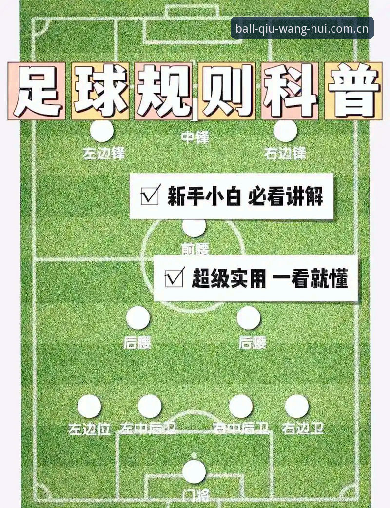 球王会体育功能深度解析：2025年最新动态与用户体验全面升级